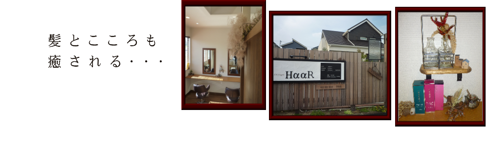 ヘッダーイメージ