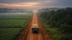 クルゼイロ・ド・スルの農村道路整備、2026年の担当区間と総延長がひと目でわかる