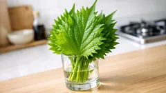 大葉を長持ちさせる保存方法はこれ 軸だけに水を当てて鮮度をキープ
