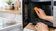 捨てる前のミカンの皮で電子レンジ掃除 ベタつきをラクに落とす0円ワザ