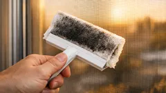 網戸掃除でシートが真っ黒に 汚れの正体とラクに整える順番