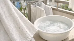 タオルの黒カビはどう落とす？ 黒いポツポツの原因と4ステップ対策